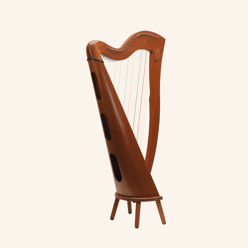 29 Strings McHugh Harp Round Back