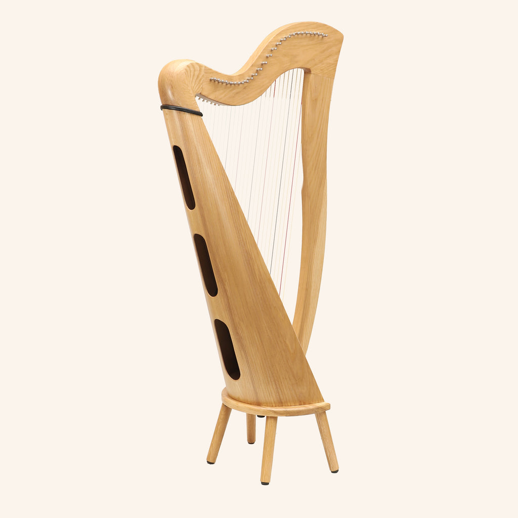 27 String McHugh Harp Round Back