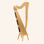 27 String McHugh Harp Round Back