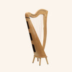 29 Strings McHugh Harp Round Back