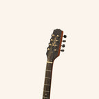 Traditional Irish Bouzouki, 8 String