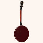 Heartland 4 String Banjo 19 Frets Irish Tenor Banjo 24 Bracket with Closed Solid Back