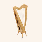 29 String McHugh Harp Square Back