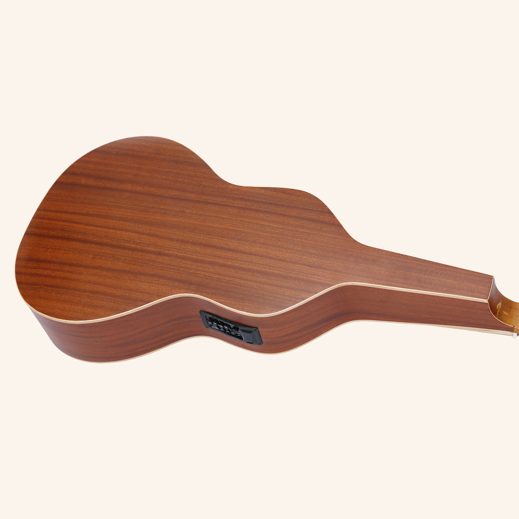 Heartland Weissenborn guitar The Session Master