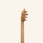 Luth Ébène Renaissance Guitar, 4 course (1st course single string)