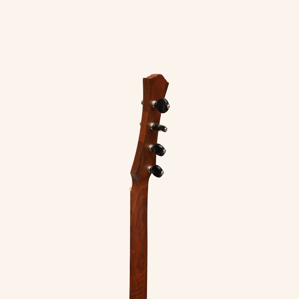 Heartland Wildwood Dulcimer Banjo, 4 String