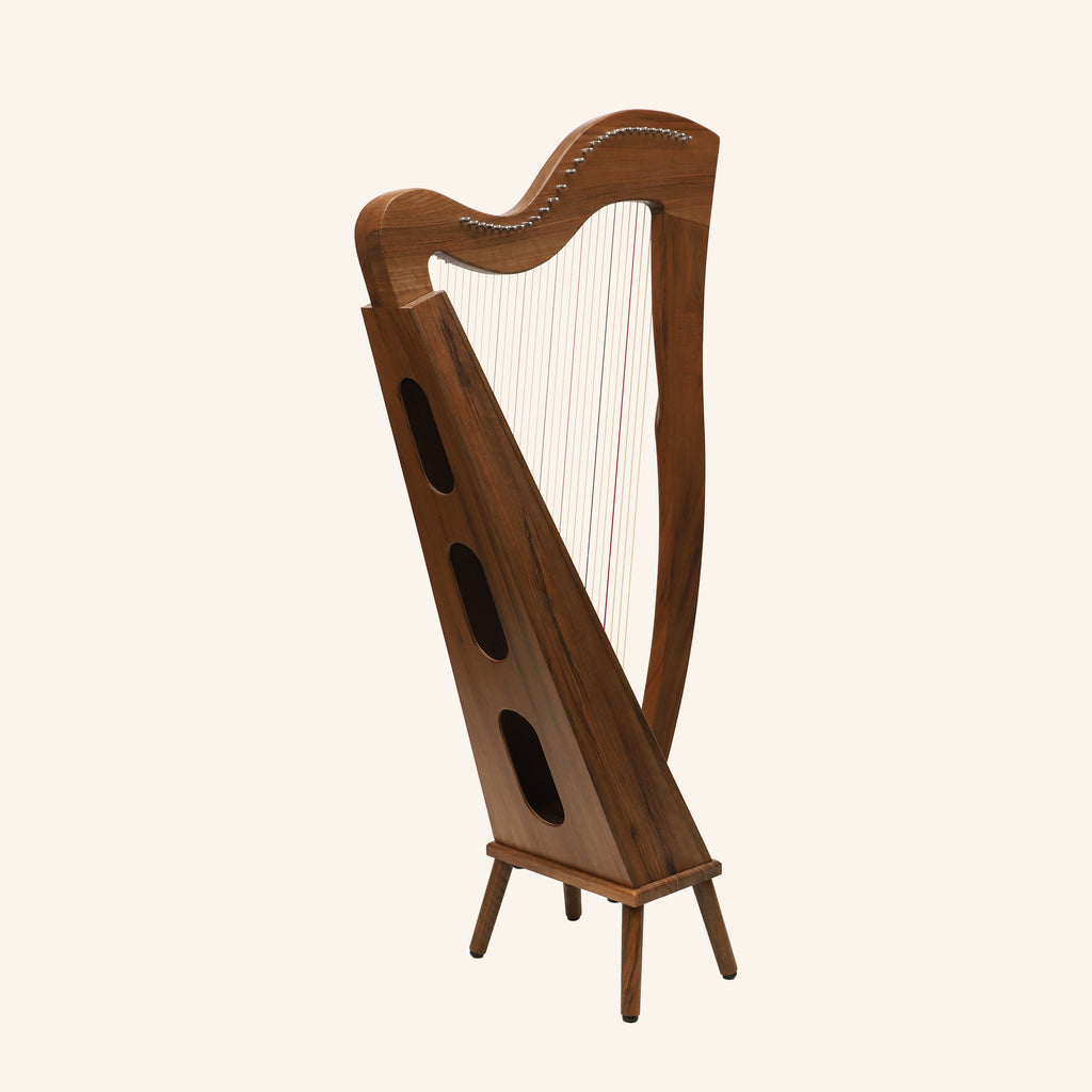 29 String McHugh Harp Square Back