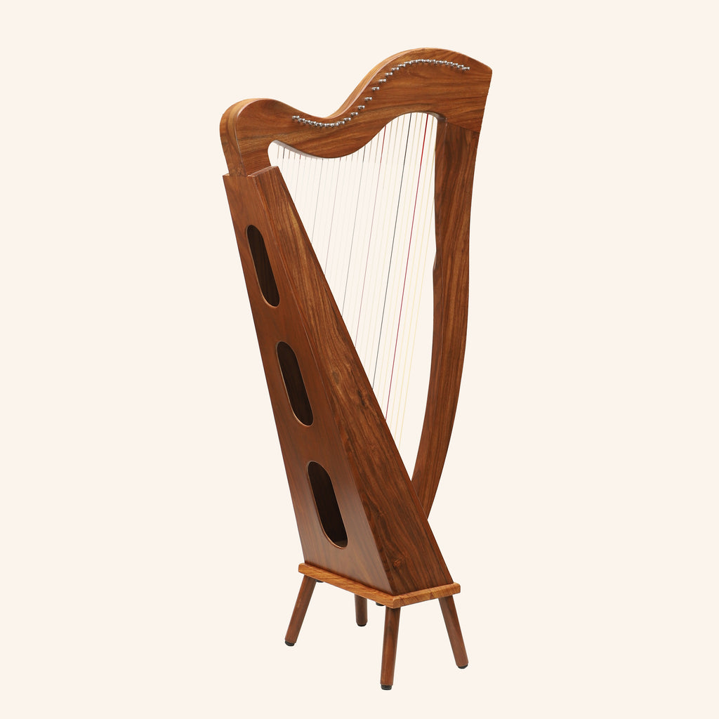 29 String McHugh Harp Square Back