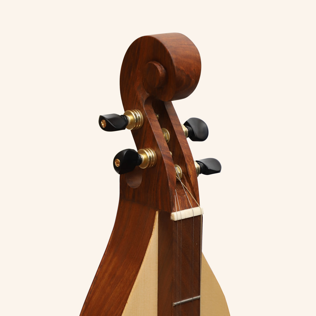 Mountain Dulcimer 4 String Cutaway Dulcimer F-Hole Rosewood