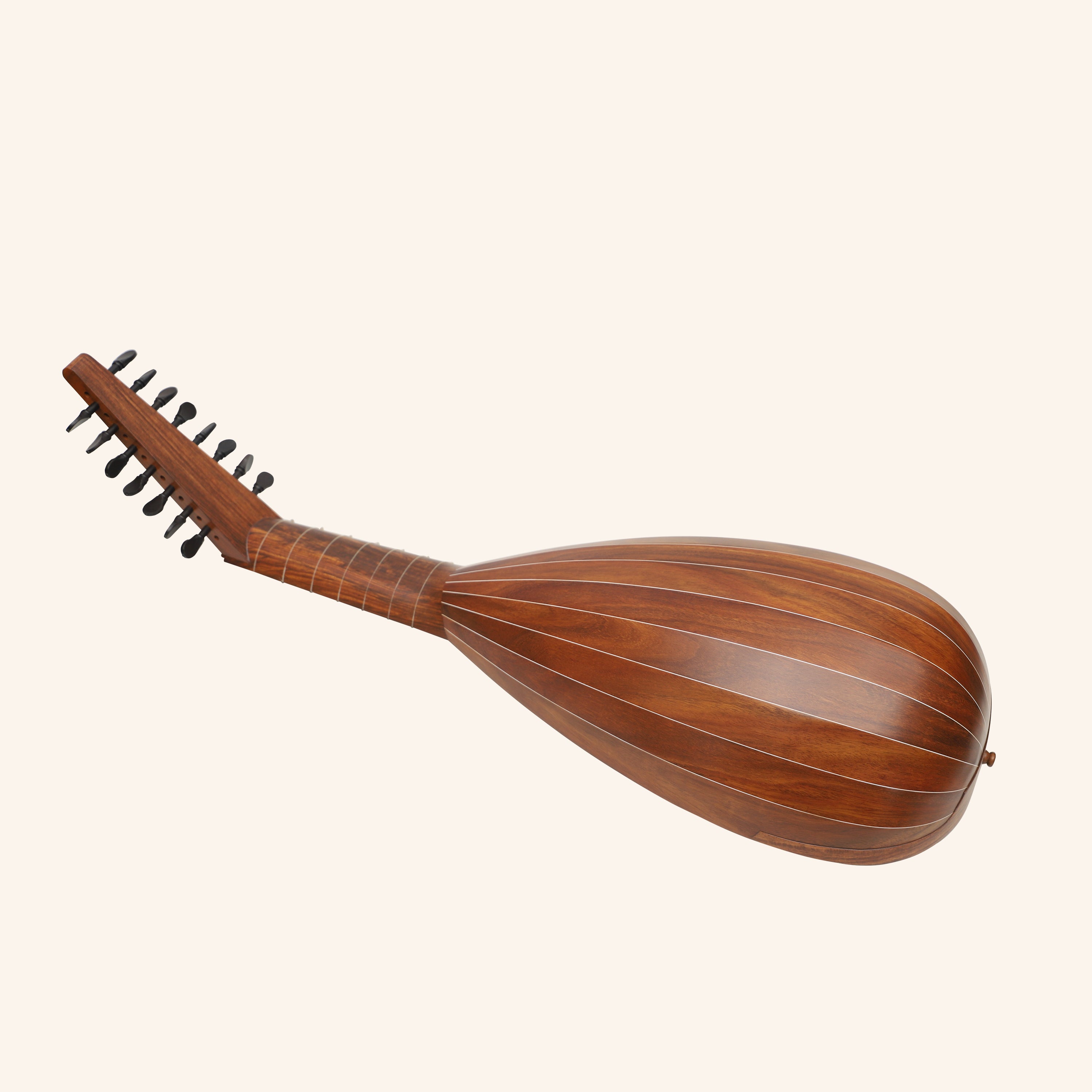 Muzikkon Travel Lute 8 Course Right Hand