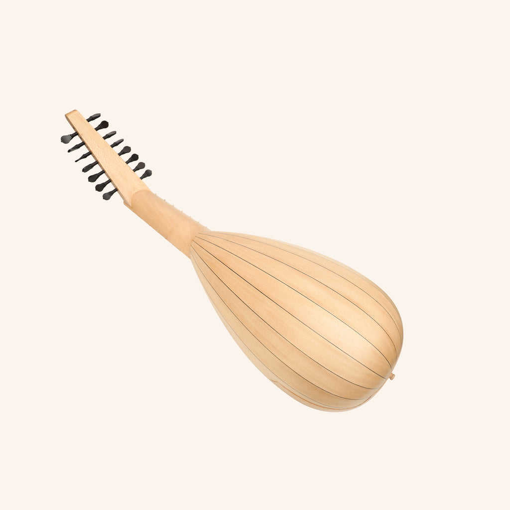 Muzikkon Travel Lute 8 Course Right Hand