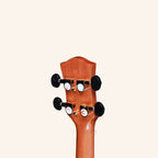 Heartland Tenor Ukulele Ebony with EQ