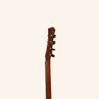 Heartland Wildwood Dulcimer Banjo, 4 String