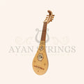 5 Course Medieval Gittern Lacewood by Muzikkon - Stringed Instruments