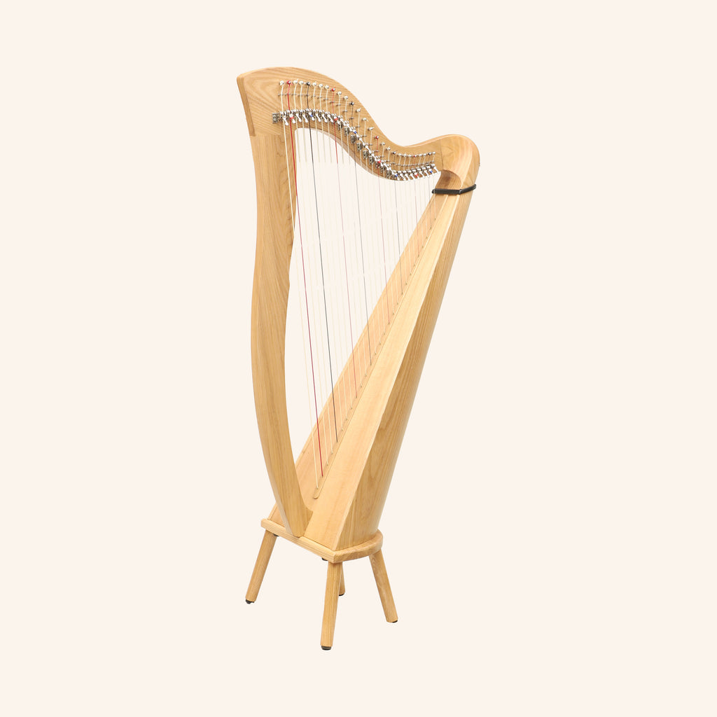 27 String McHugh Harp Round Back