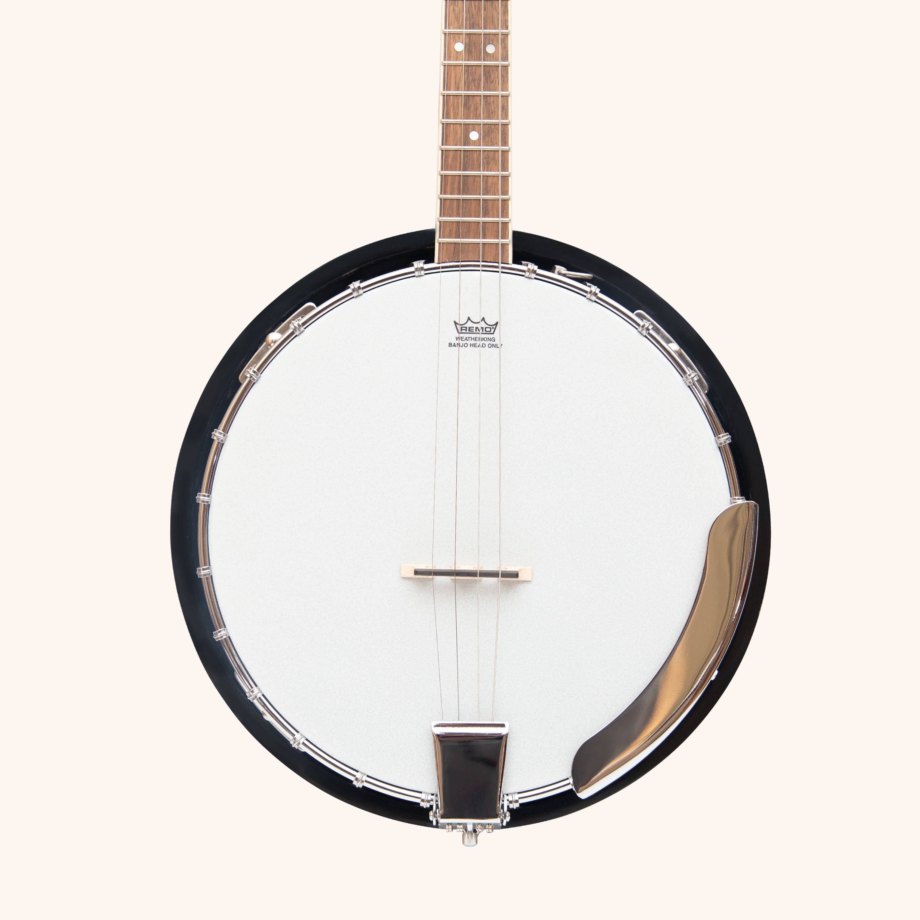 Heartland 4 String Banjo 19 Frets Irish Tenor Banjo Left Handed 24 Bracket With Closed Solid Back