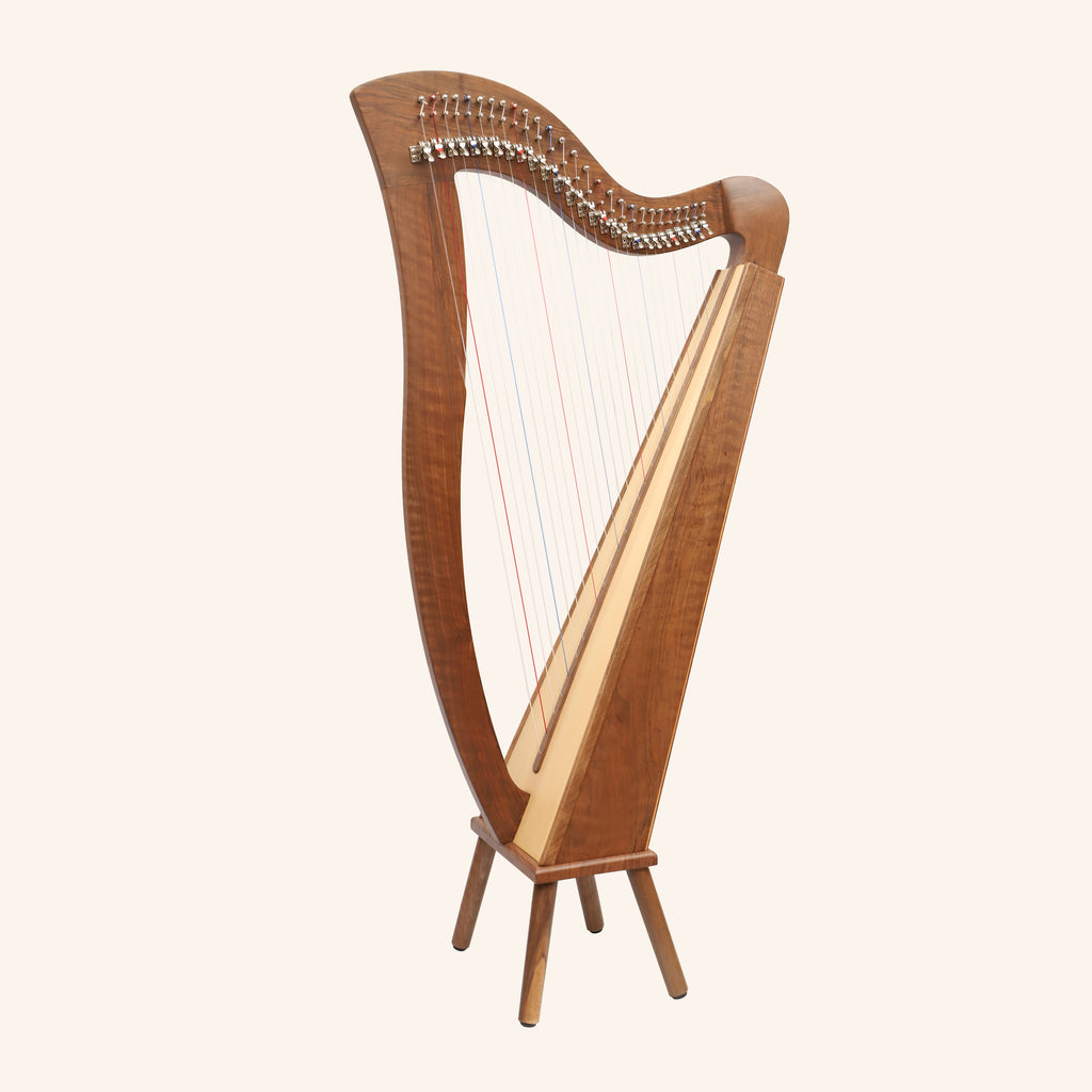 27 String Mchugh Harp Square Back