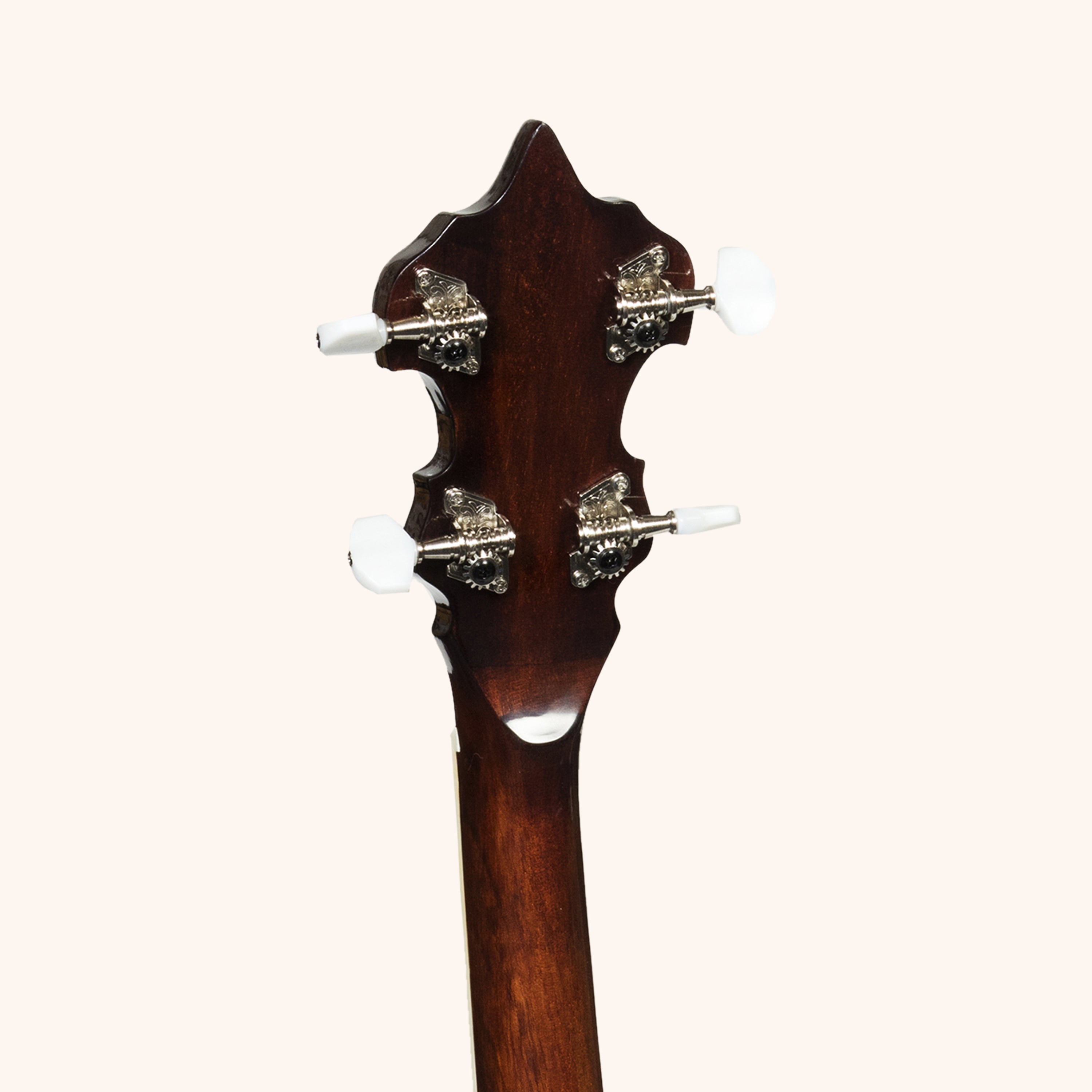 Heartland 5 String Irish Banjo 24 Bracket with Closed Solid Back and Geared 5th Tuner