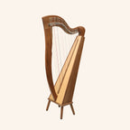 29 String McHugh Harp Square Back
