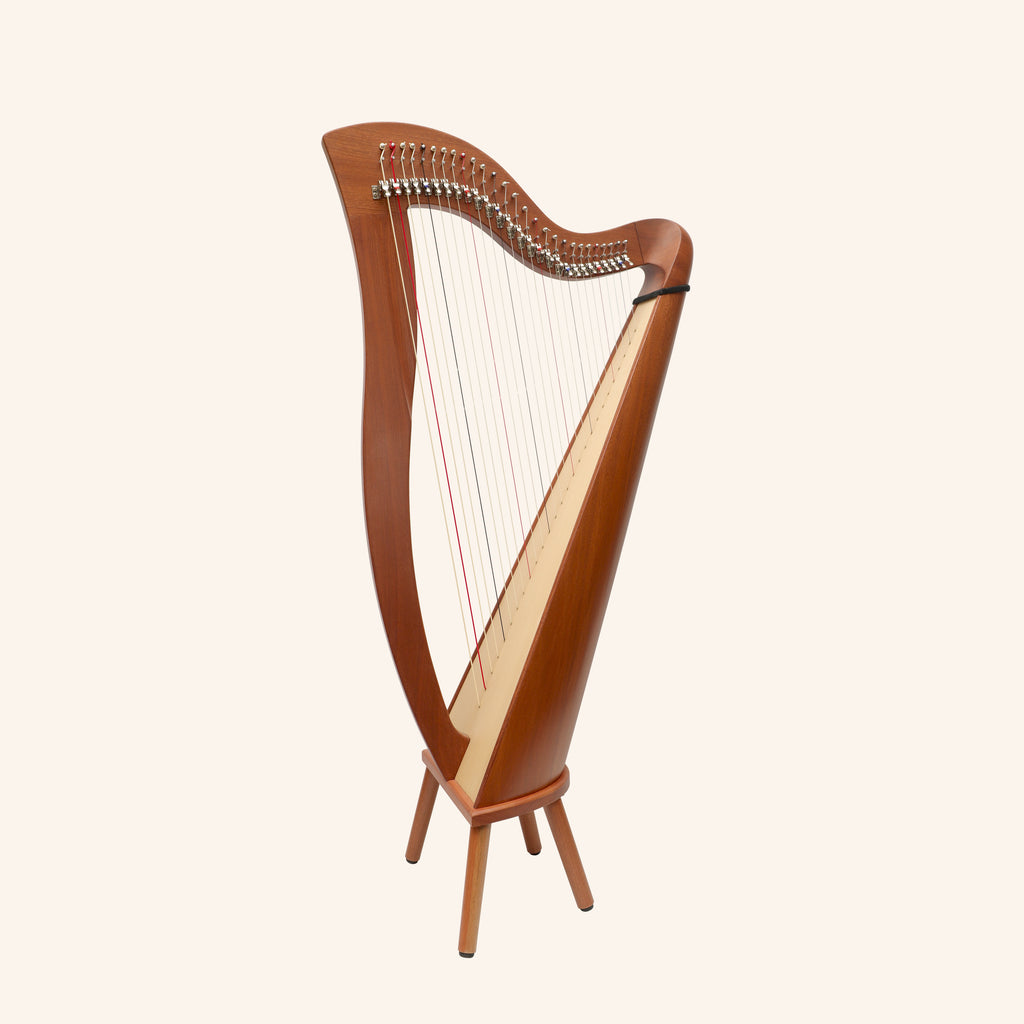 27 String McHugh Harp Round Back