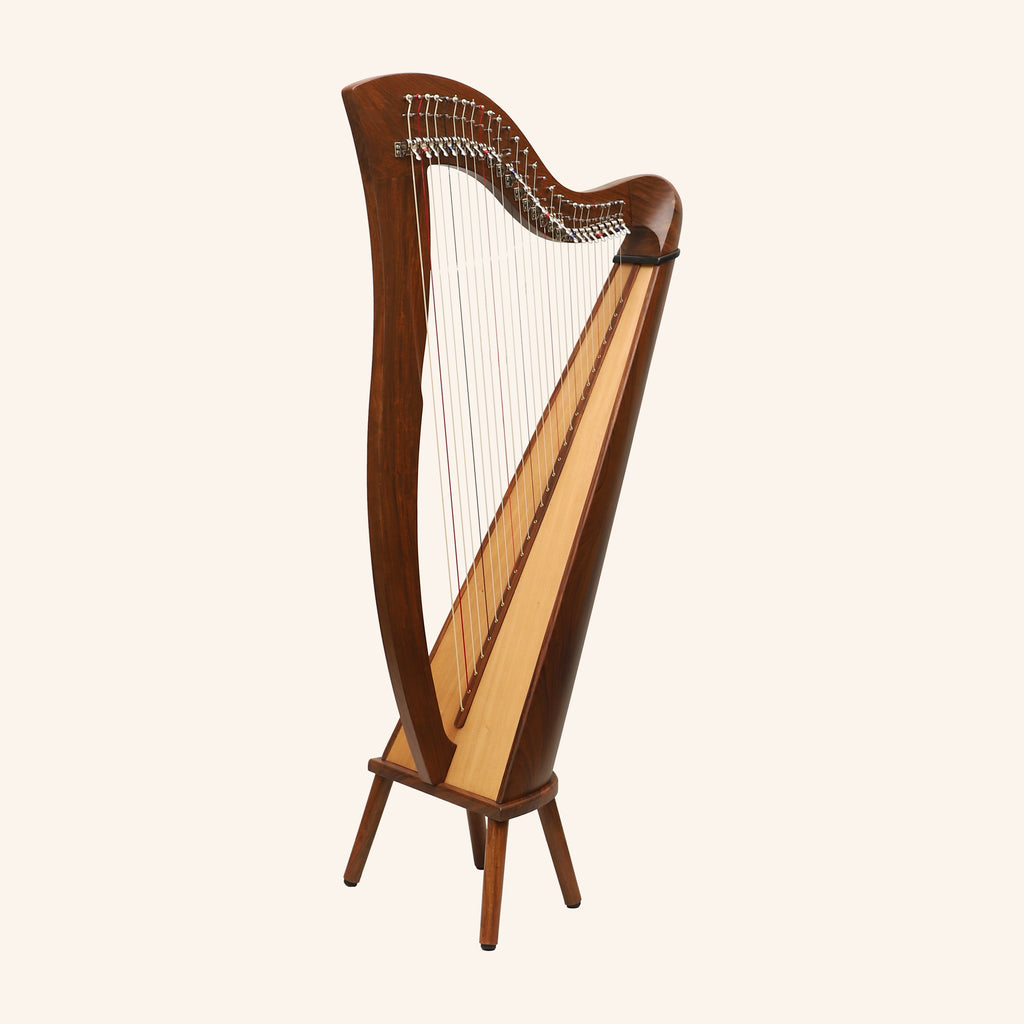 27 String McHugh Harp Round Back