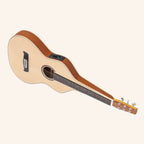 Heartland Weissenborn guitar The Session Master