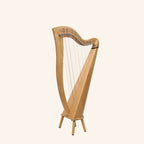 29 Strings McHugh Harp Round Back