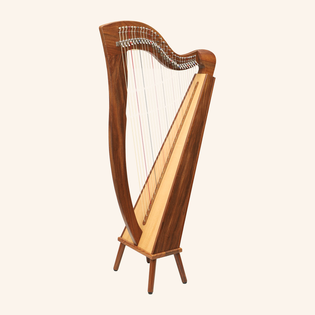 29 String McHugh Harp Square Back