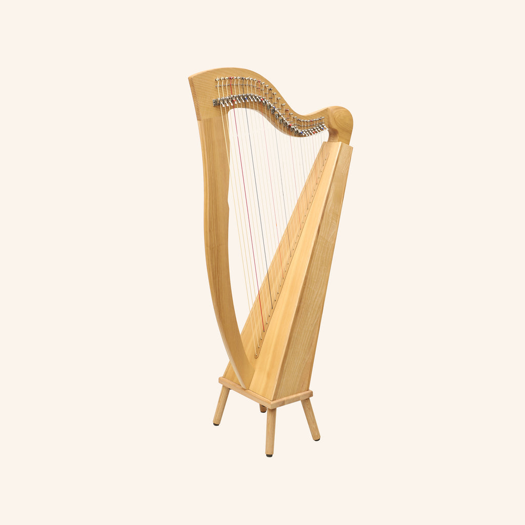 29 String McHugh Harp Square Back