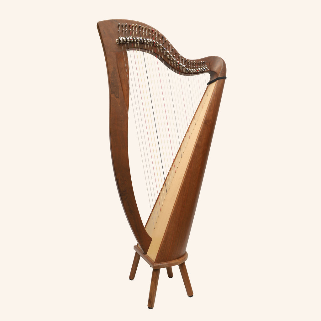 29 Strings McHugh Harp Round Back