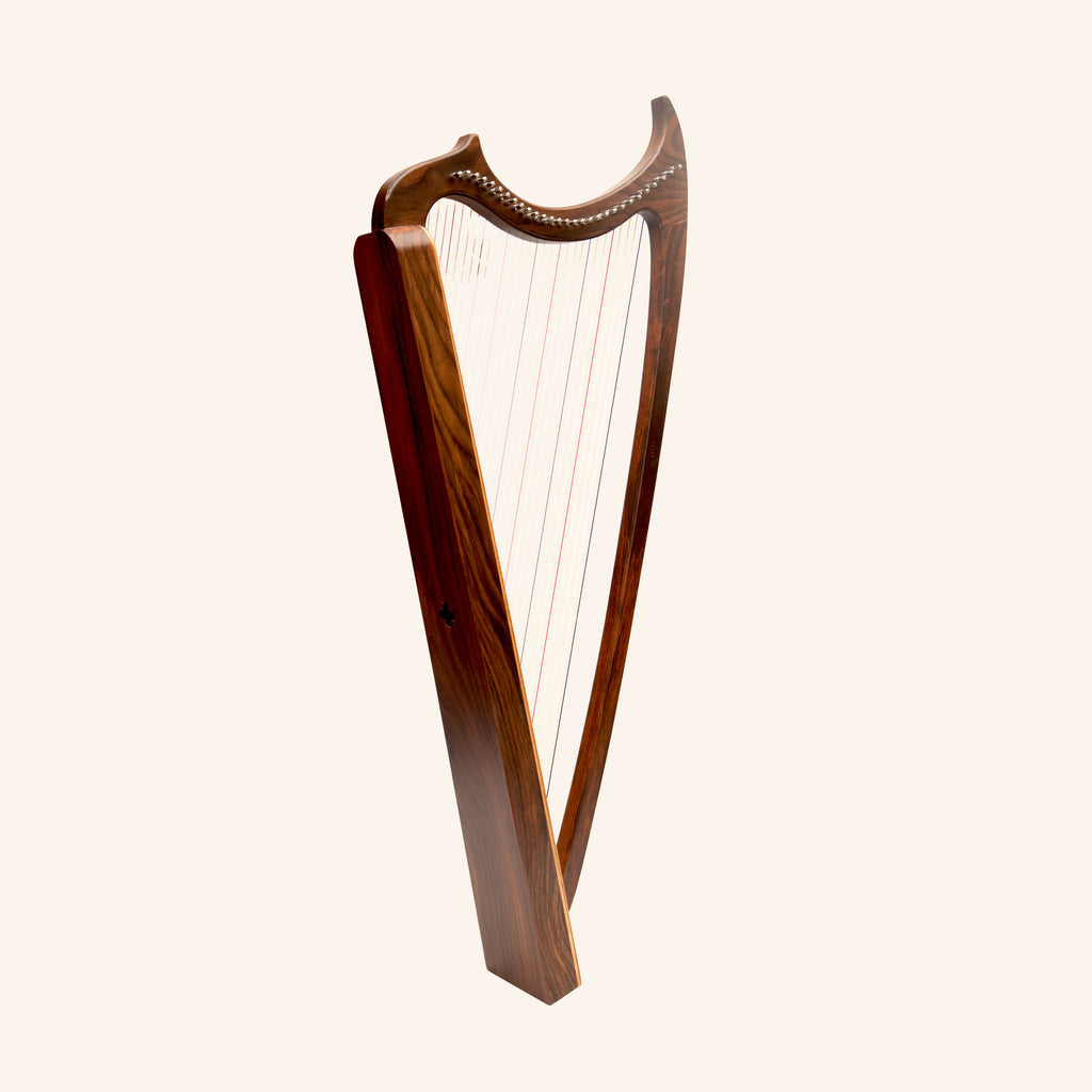 29 String Gothic Harp
