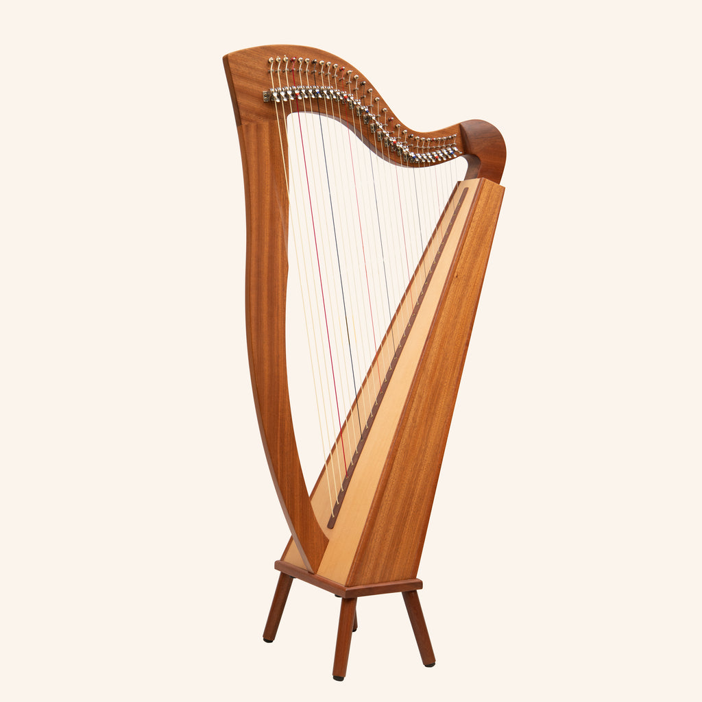 29 String McHugh Harp Square Back