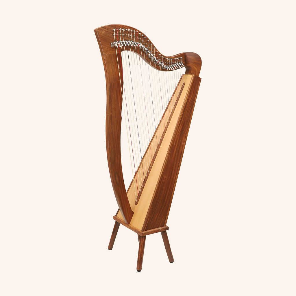 27 String Mchugh Harp Square Back