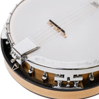 Heartland Deluxe Irish Tenor Banjo 17 Frets Left Handed 24 Bracket Closed Solid Back Maple Finish