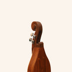 Muzikkon Mountain Dulcimer, 4 Strings Knotwork Scroll R-W Silver Gear