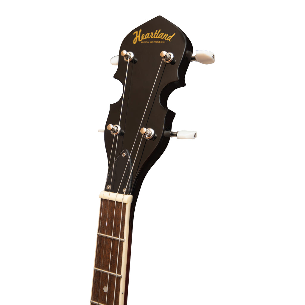Heartland 4 String Banjo 19 Frets Irish Tenor Banjo Left Handed 24 Bracket With Closed Solid Back