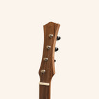 Heartland Wildwood Dulcimer Banjo, 4 String