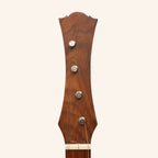 Heartland Wildwood Dulcimer Banjo, 4 String Left Hand