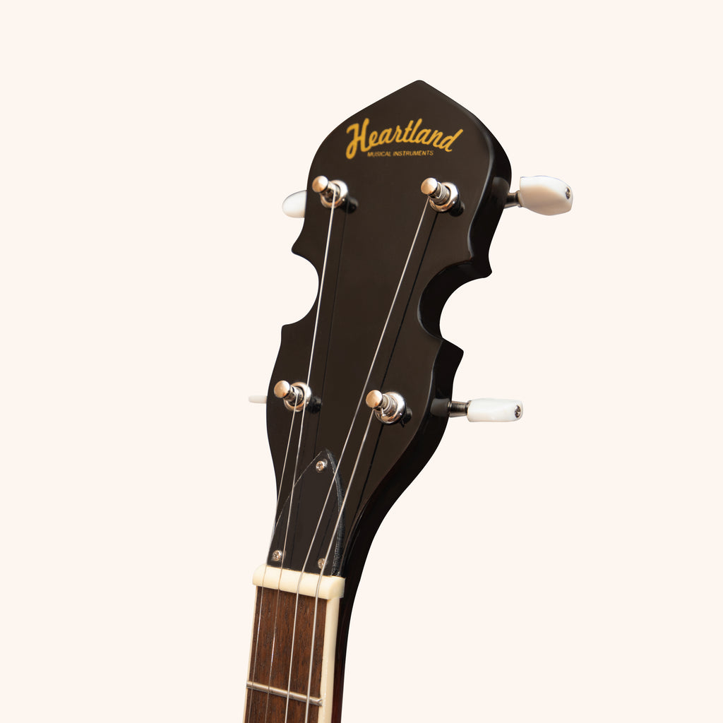 Heartland 4 String Banjo 19 Frets Irish Tenor Banjo Left Handed 24 Bracket With Closed Solid Back