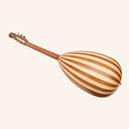 Lute Guitar, 6 String Variegated Lacewood Rosewood