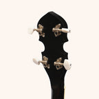 Heartland 4 String Banjo Closed Solid Back 17 Fret, 4 String Irish Tenor Banjo Short scale
