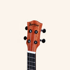 Heartland Concert Ukulele Mahogany with EQ