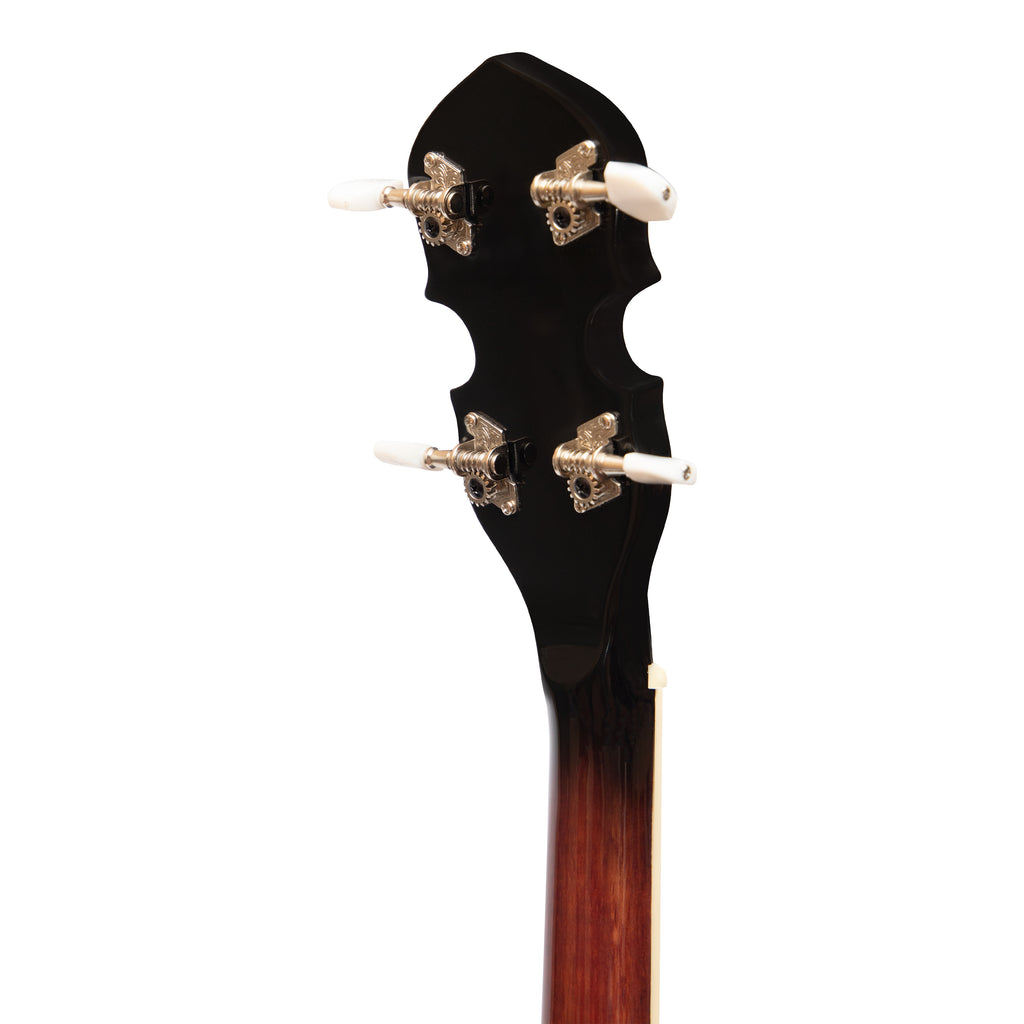 Heartland 4 String Banjo 19 Frets Irish Tenor Banjo Left Handed 24 Bracket With Closed Solid Back