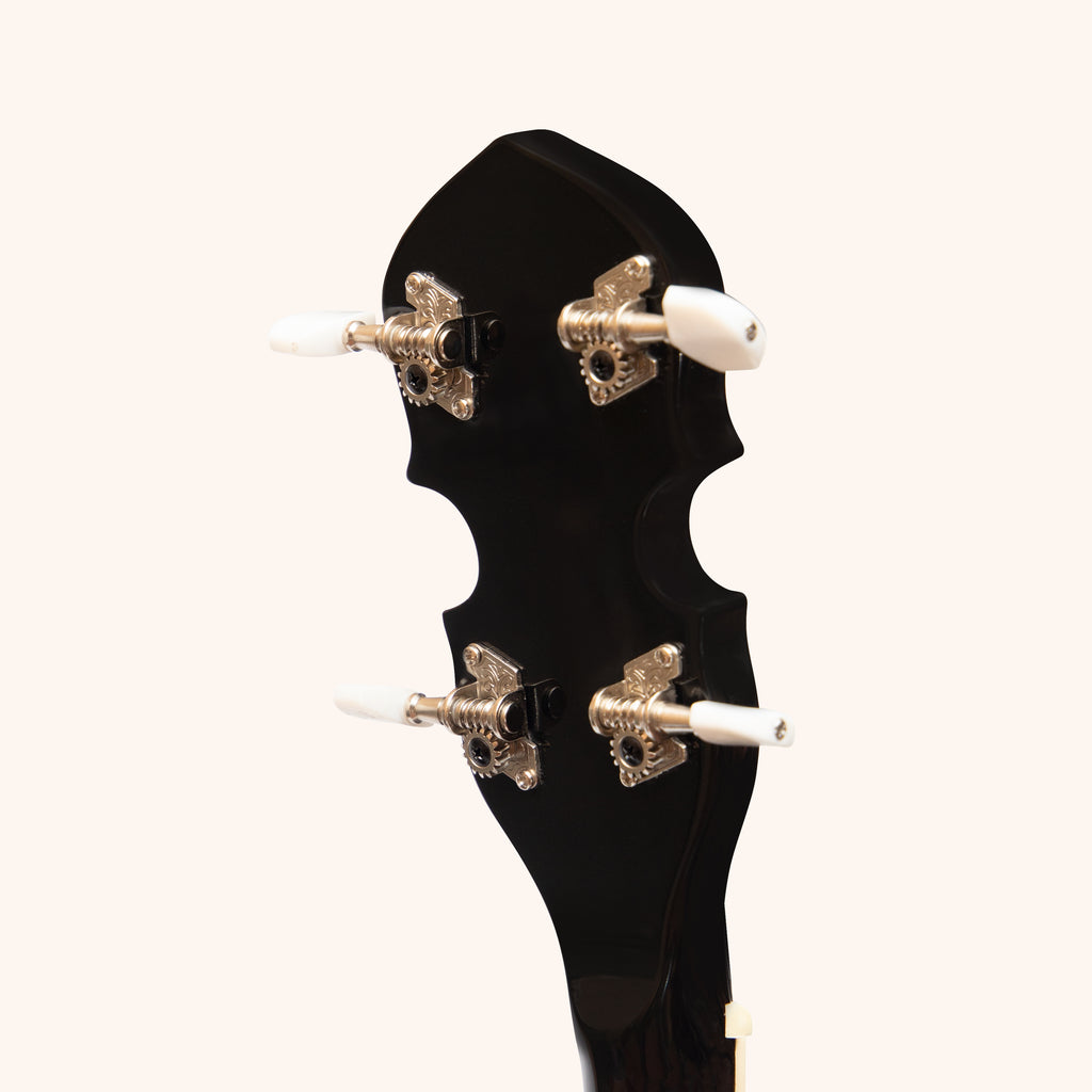 Heartland 4 String Banjo 19 Frets Irish Tenor Banjo Left Handed 24 Bracket With Closed Solid Back