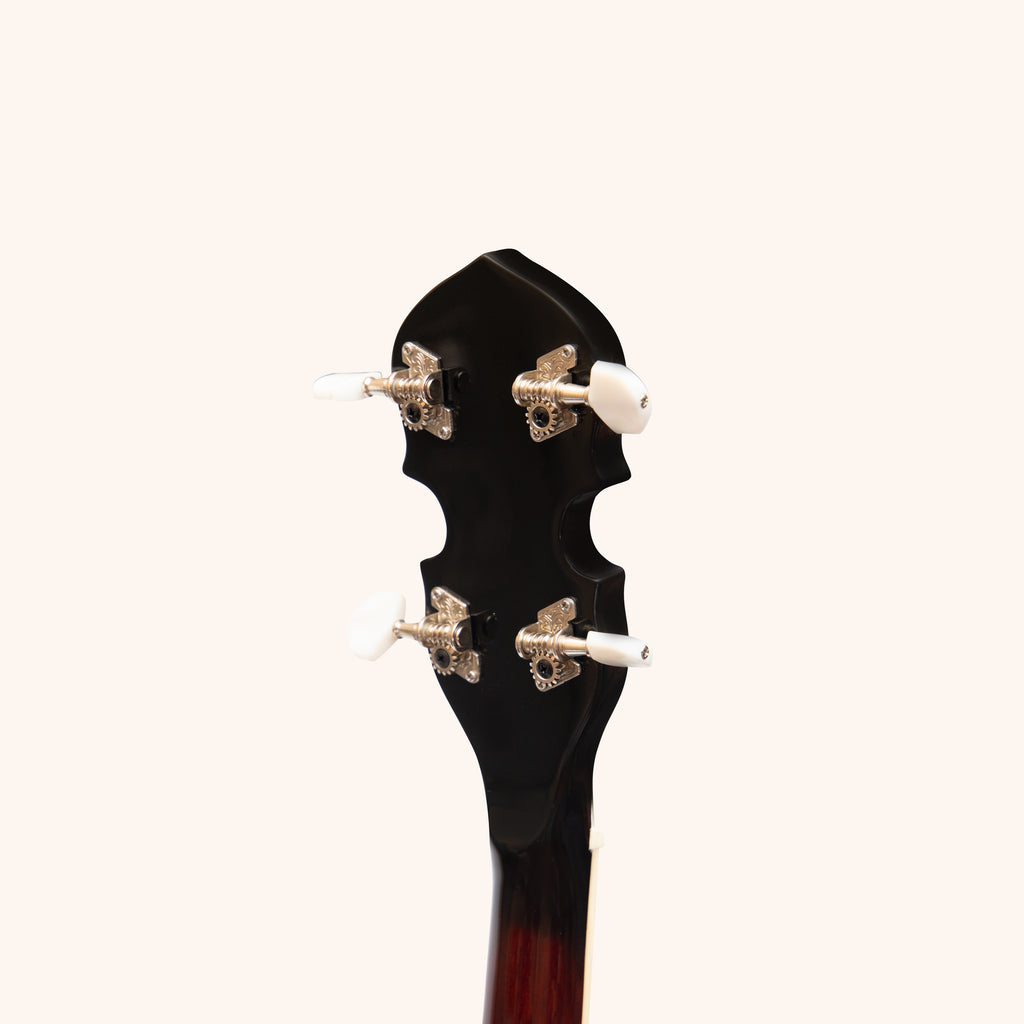 Heartland 4 String Banjo 19 Frets Irish Tenor Banjo 24 Bracket with Closed Solid Back