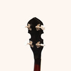 Heartland 4 String Banjo 19 Frets Irish Tenor Banjo 24 Bracket with Closed Solid Back
