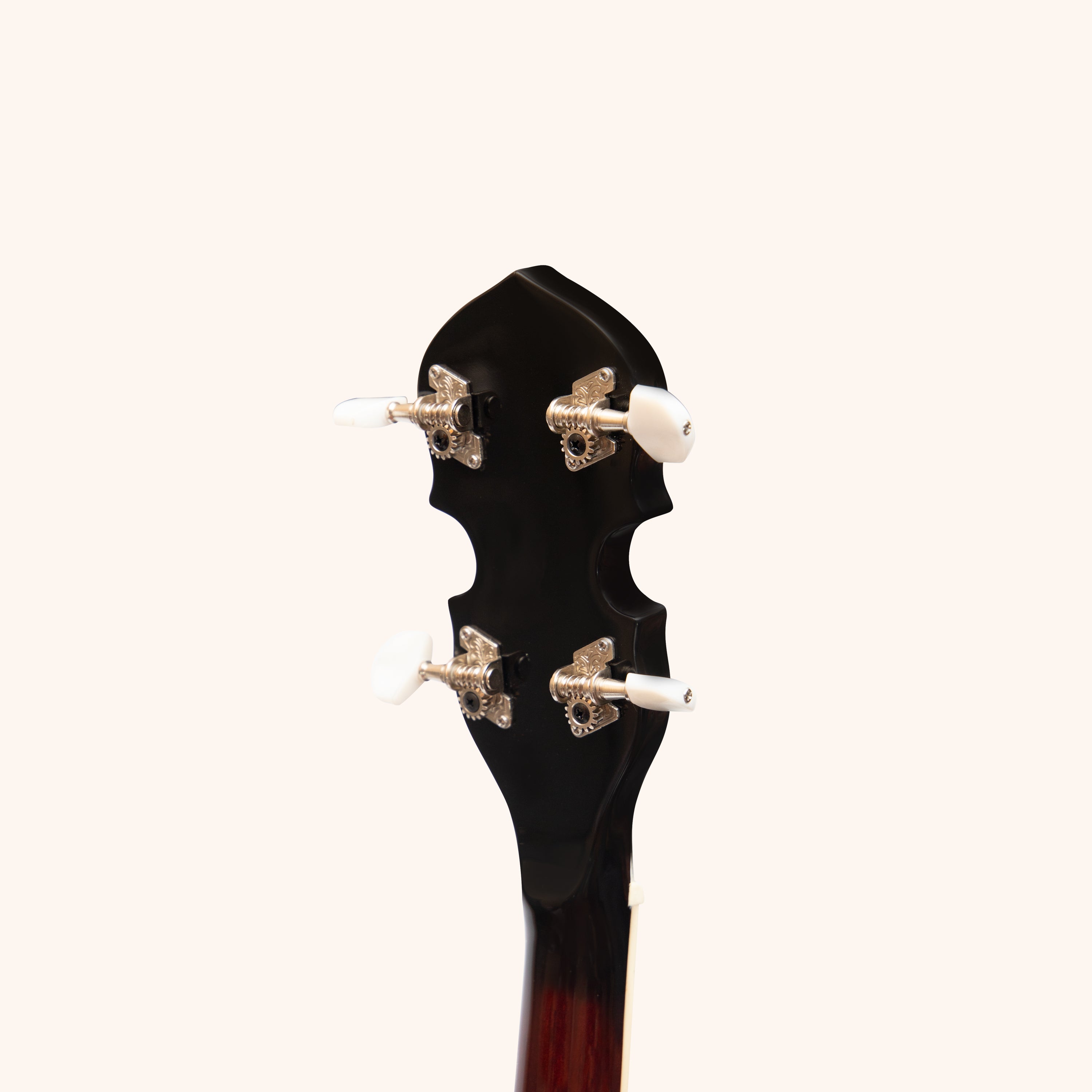 Heartland 4 String Banjo 19 Frets Irish Tenor Banjo 24 Bracket with Closed Solid Back
