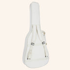 Heartland Weissenborn guitar The Session Master