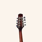 Heartland Mandolin Linden Acoustic Matt Finish