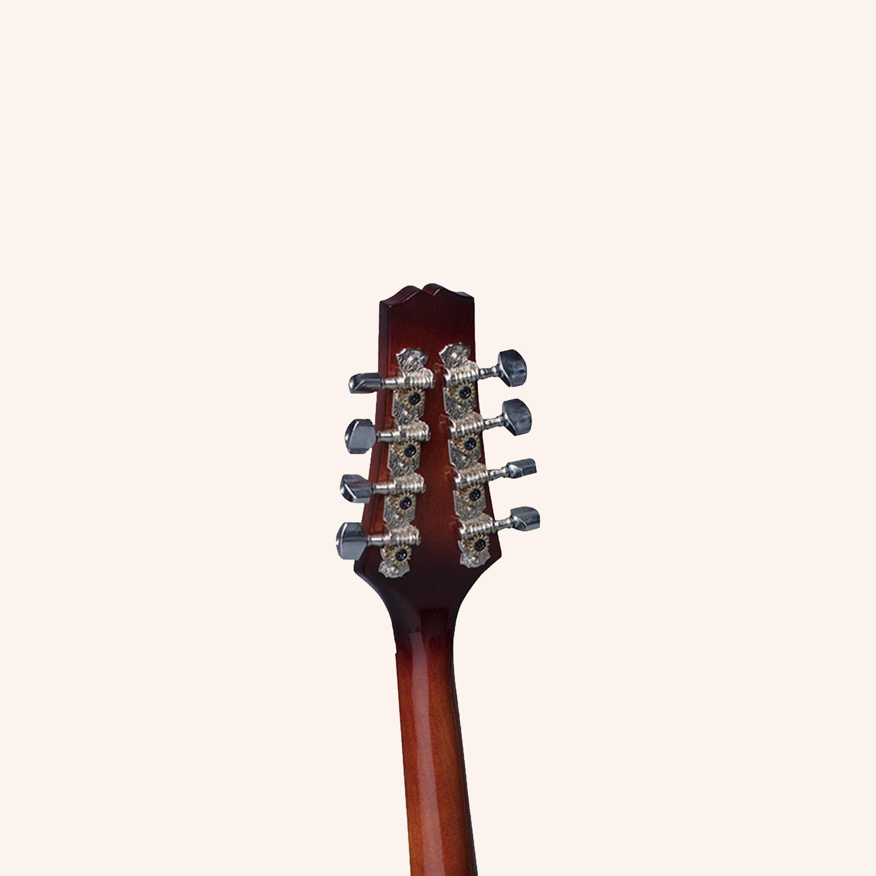 Heartland Mandolin Linden Acoustic Matt Finish